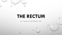 The rectum By  Dr   .  Hasanain