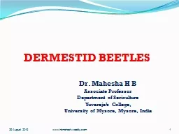 DERMESTID BEETLES Dr. Mahesha H B