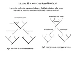 Lecture 19 – Non-tree Based Methods