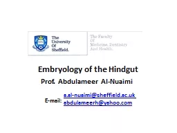 Embryology of the Hindgut