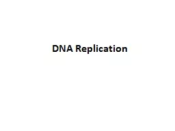 DNA Replication    DNA Replication