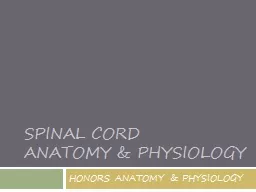 SPINAL CORD  ANATOMY & PHYSIOLOGY