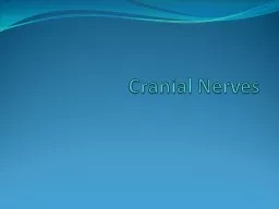 Cranial Nerves Label & Describe the Nerve Functions