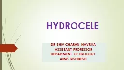 HYDROCELE DR SHIV CHARAN NAVRIYA