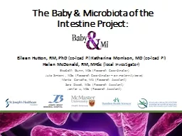 The Baby & Microbiota of the Intestine Project: