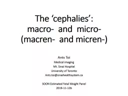 The  ‘ cephalies ’: macro-  and  micro-