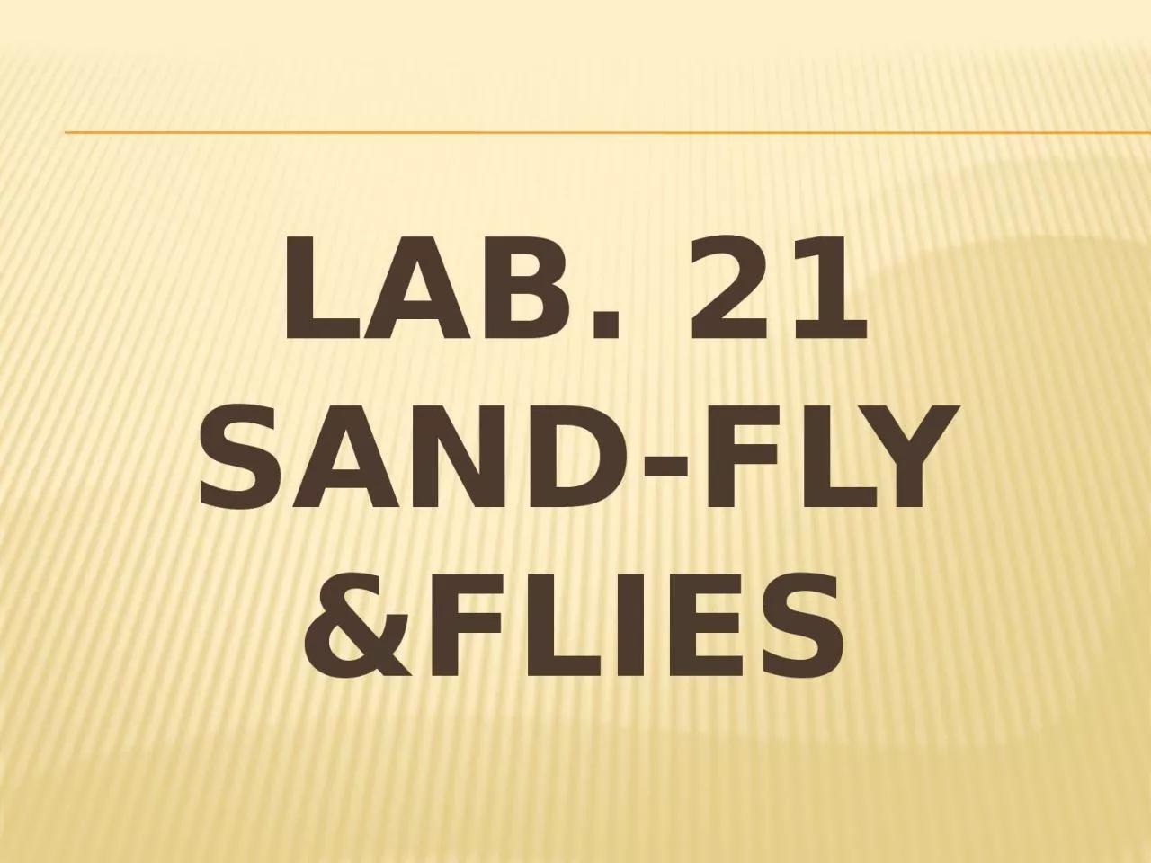 PPT-Lab. 21 Sand-fly &Flies