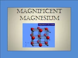 Magnificent  Magnesium Fun Facts