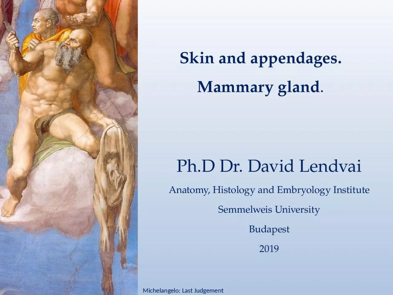 PPT-Skin and appendages . Mammary