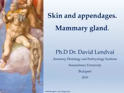 Skin and  appendages .  Mammary