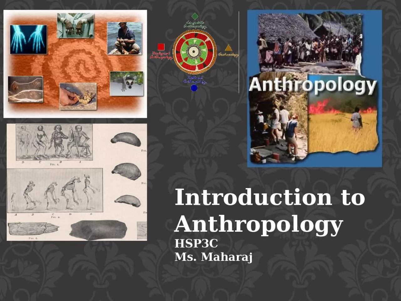 PPT-Introduction to Anthropology