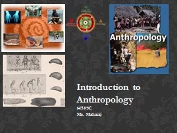 Introduction to Anthropology