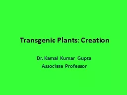 Transgenic Plants: Creation