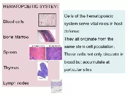 Review of histopathology of  the