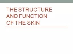 The   structure   and  function