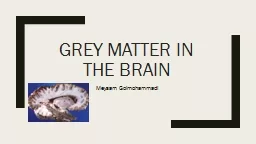 grey matter in the brain