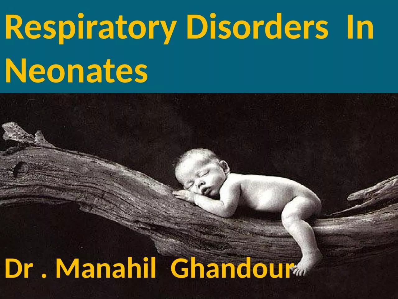 Dr .  Manahil    Ghandour