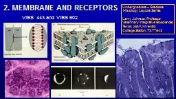 2. MEMBRANE AND RECEPTORS