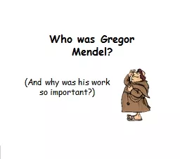 Who was  Gregor  Mendel?
