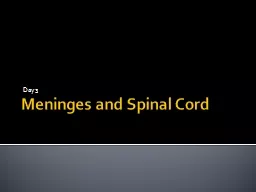 Meninges  and Spinal Cord