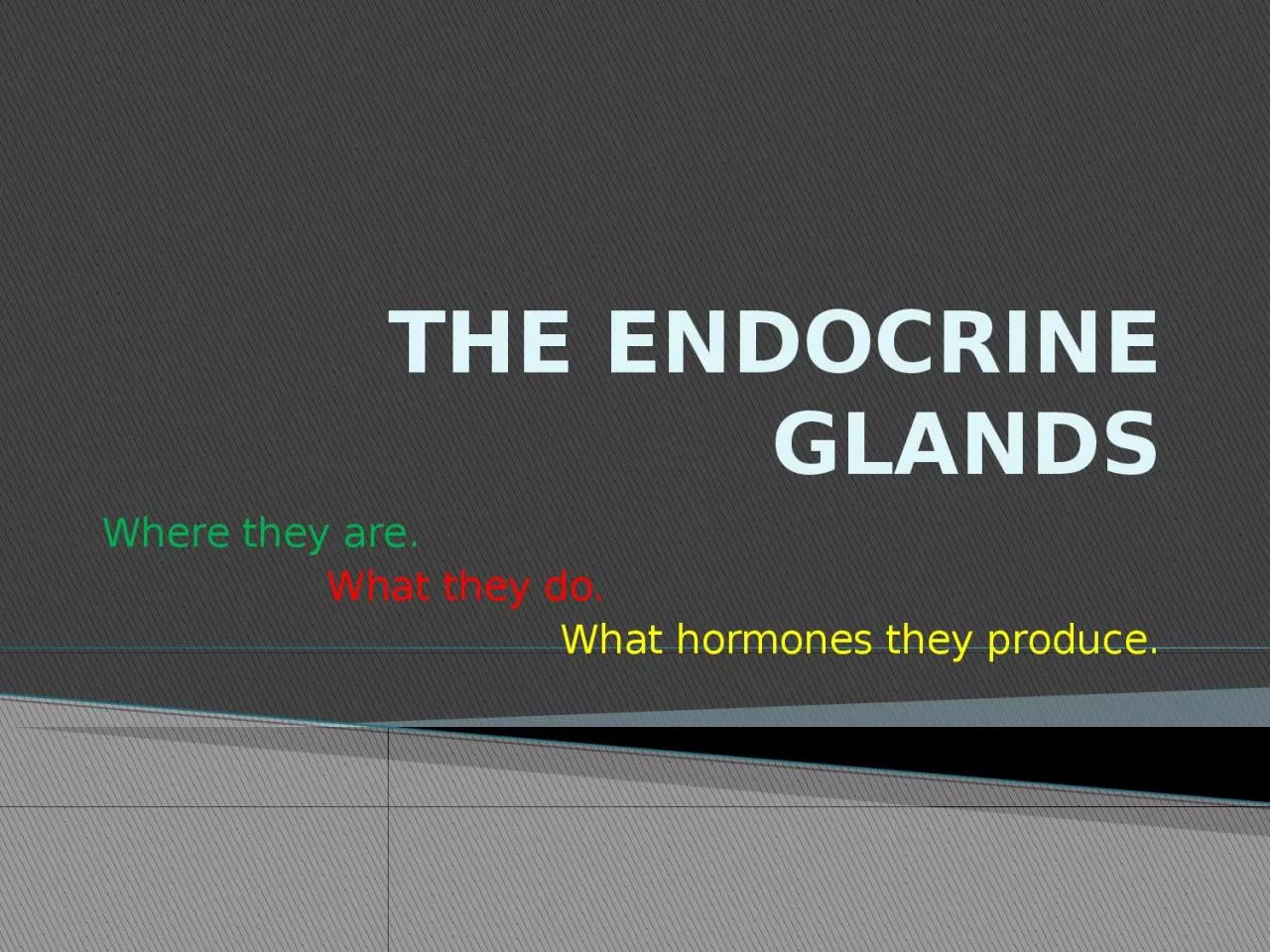 THE ENDOCRINE GLANDS Where they are.