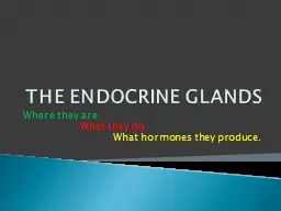 THE ENDOCRINE GLANDS Where they are.