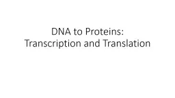 DNA to Proteins: Transcription and Translation