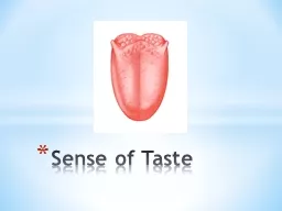Sense of Taste Taste Buds