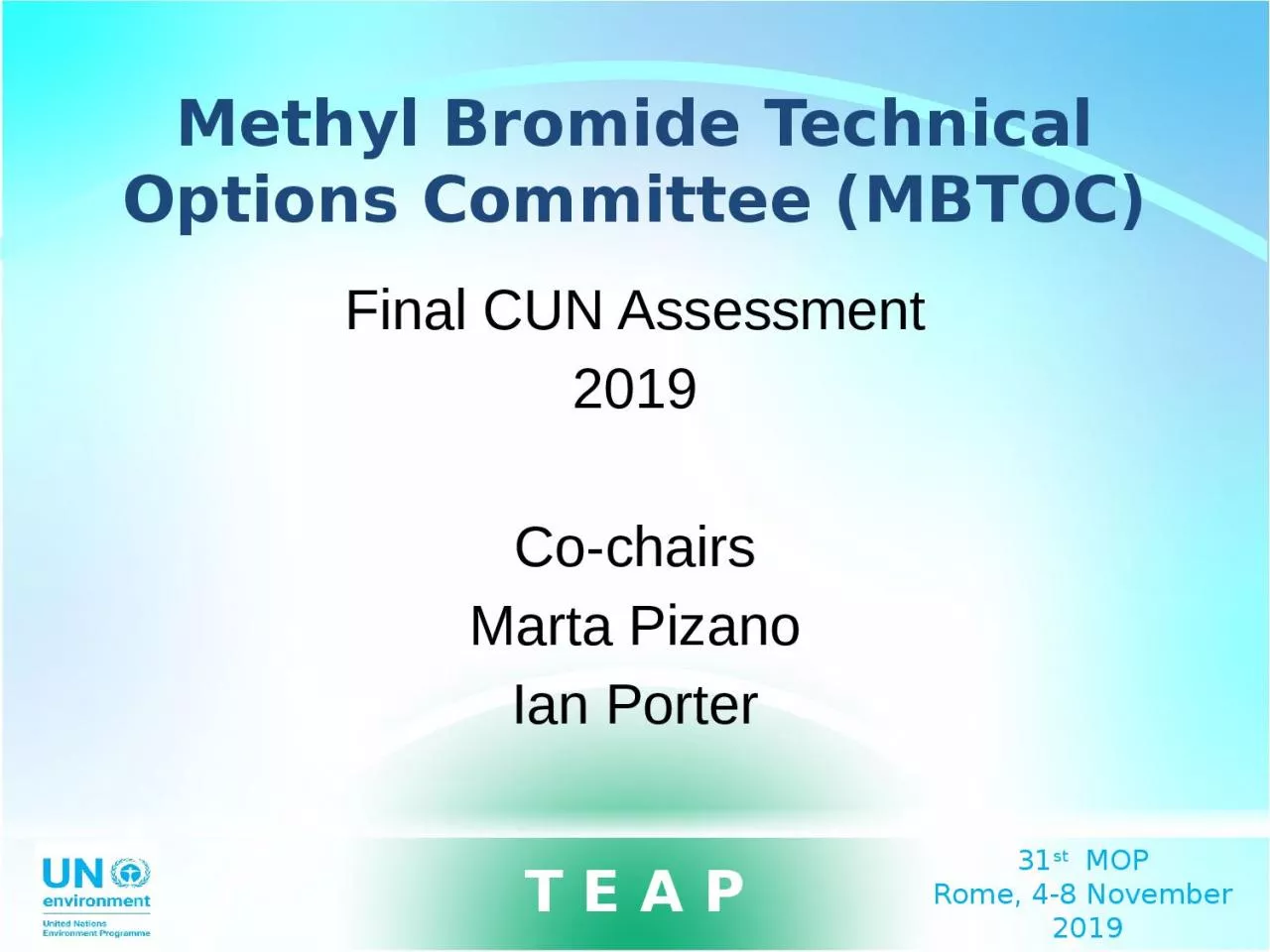 PPT-Methyl Bromide Technical Options Committee (MBTOC)