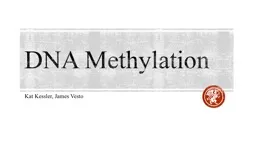 DNA Methylation Kat Kessler, James