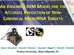 An Ensemble SVM Model for the Accurate Prediction of Non-Canonical MicroRNA Targets