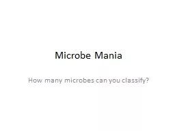 PPT-Microbe Mania How many microbes can you classify?