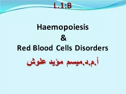 L.1:B Haemopoiesis  &