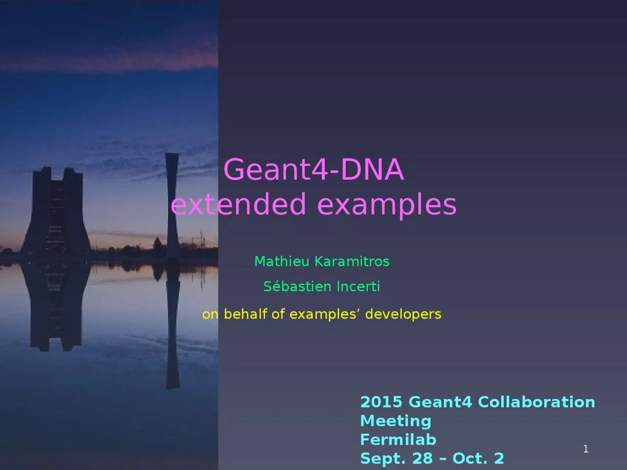 PPT-Geant4-DNA extended examples