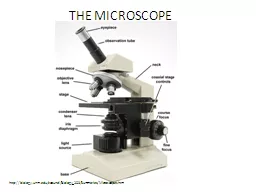 THE MICROSCOPE http://biology.unm.edu/ccouncil/Biology_203/Summaries/Microscopes.htm