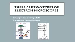 There are two types of electron microscopes