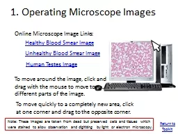 1. Operating Microscope Images