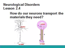 Neurological Disorders Lesson 2.4