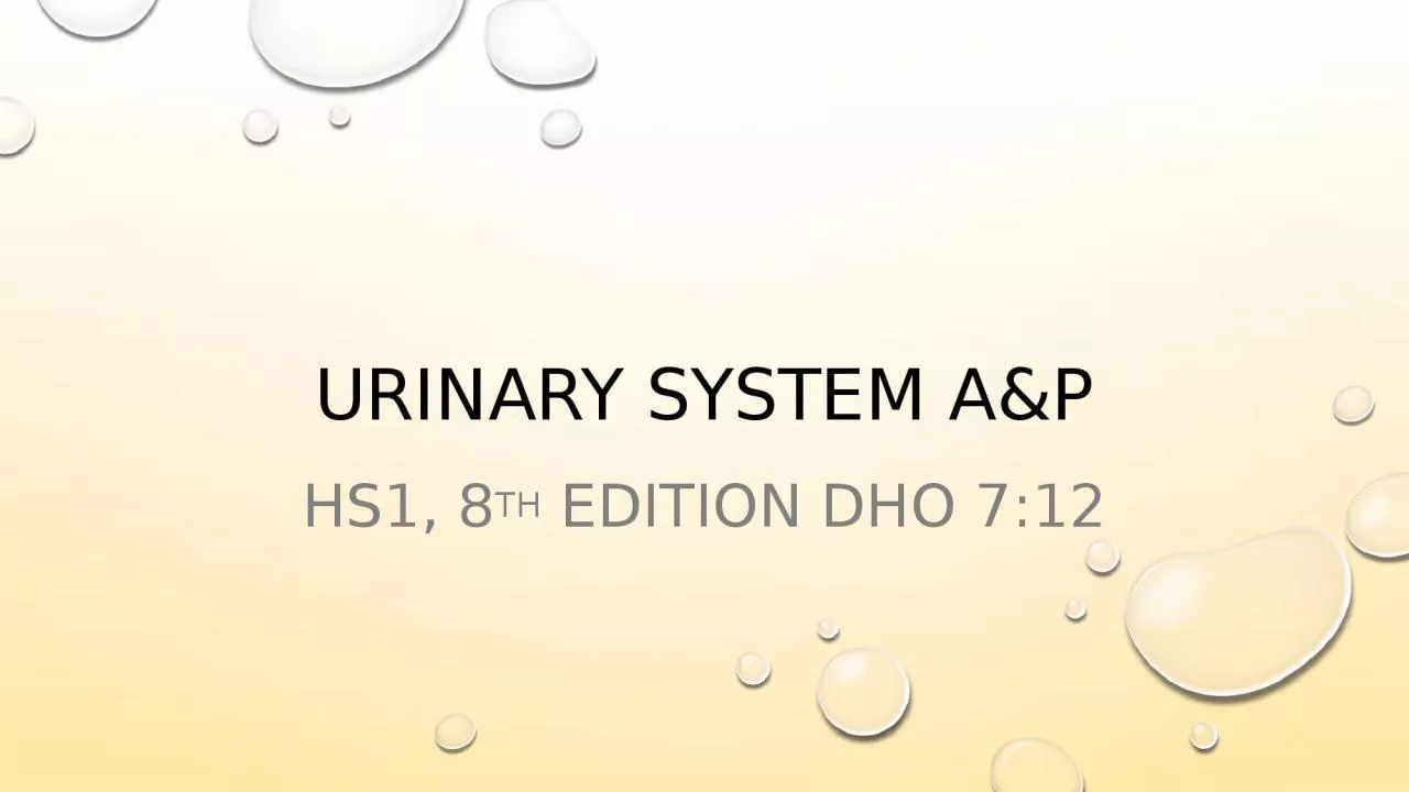 PPT-Urinary system a&P HS1, 8