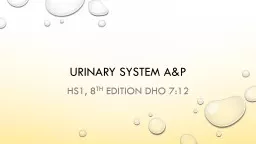 Urinary system  a&P HS1, 8