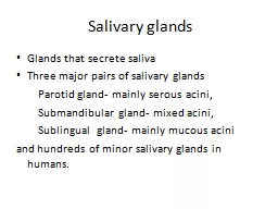 Salivary glands Glands that secrete saliva