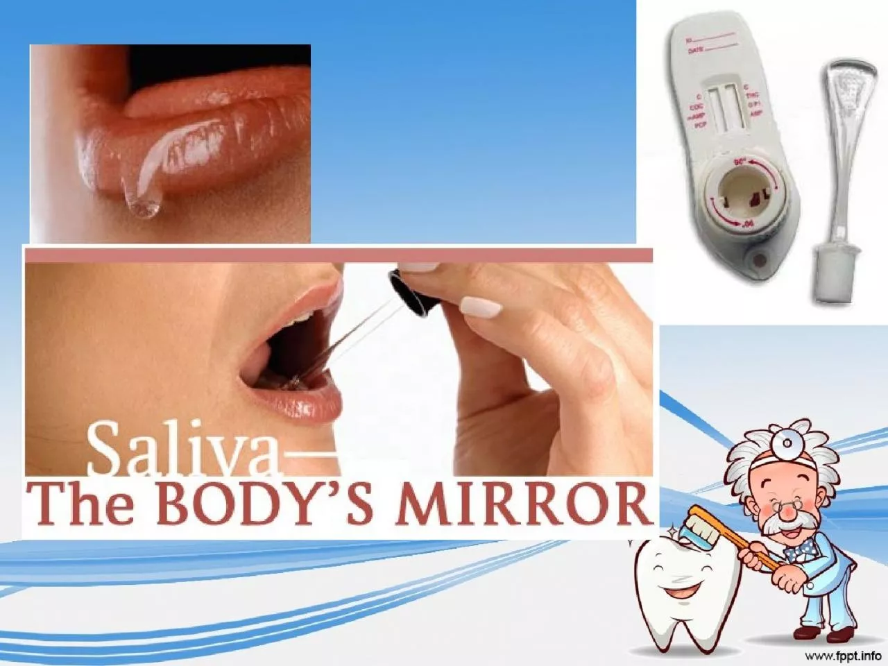 Definition       Saliva is a fluid secreted by salivary glands. Pure saliva is the secretion