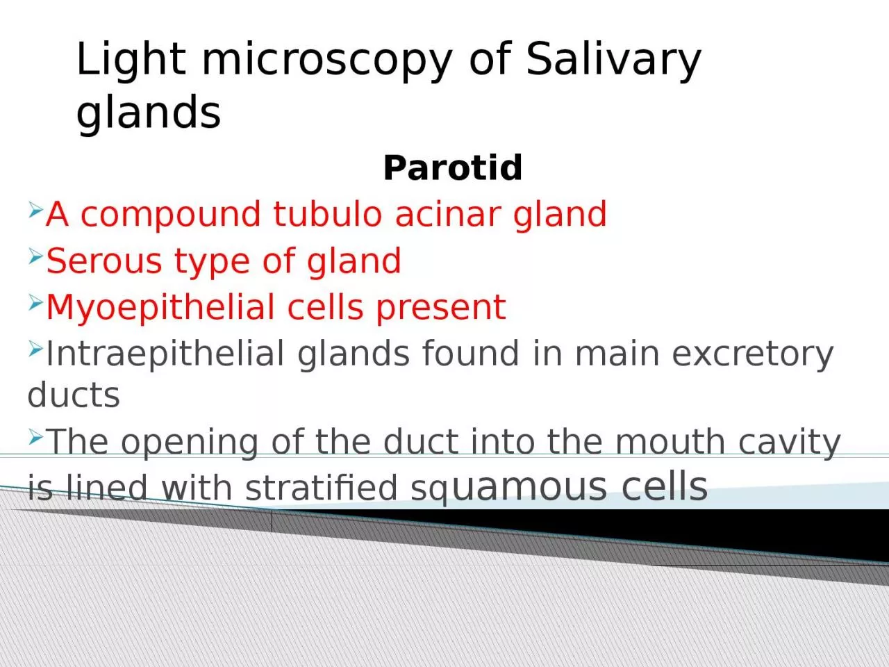 Light microscopy of Salivary glands