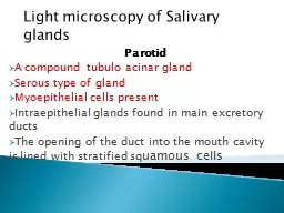 Light microscopy of Salivary glands