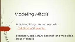 Modeling Mitosis How living things create new cells