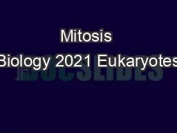 Mitosis Biology 2021 Eukaryotes