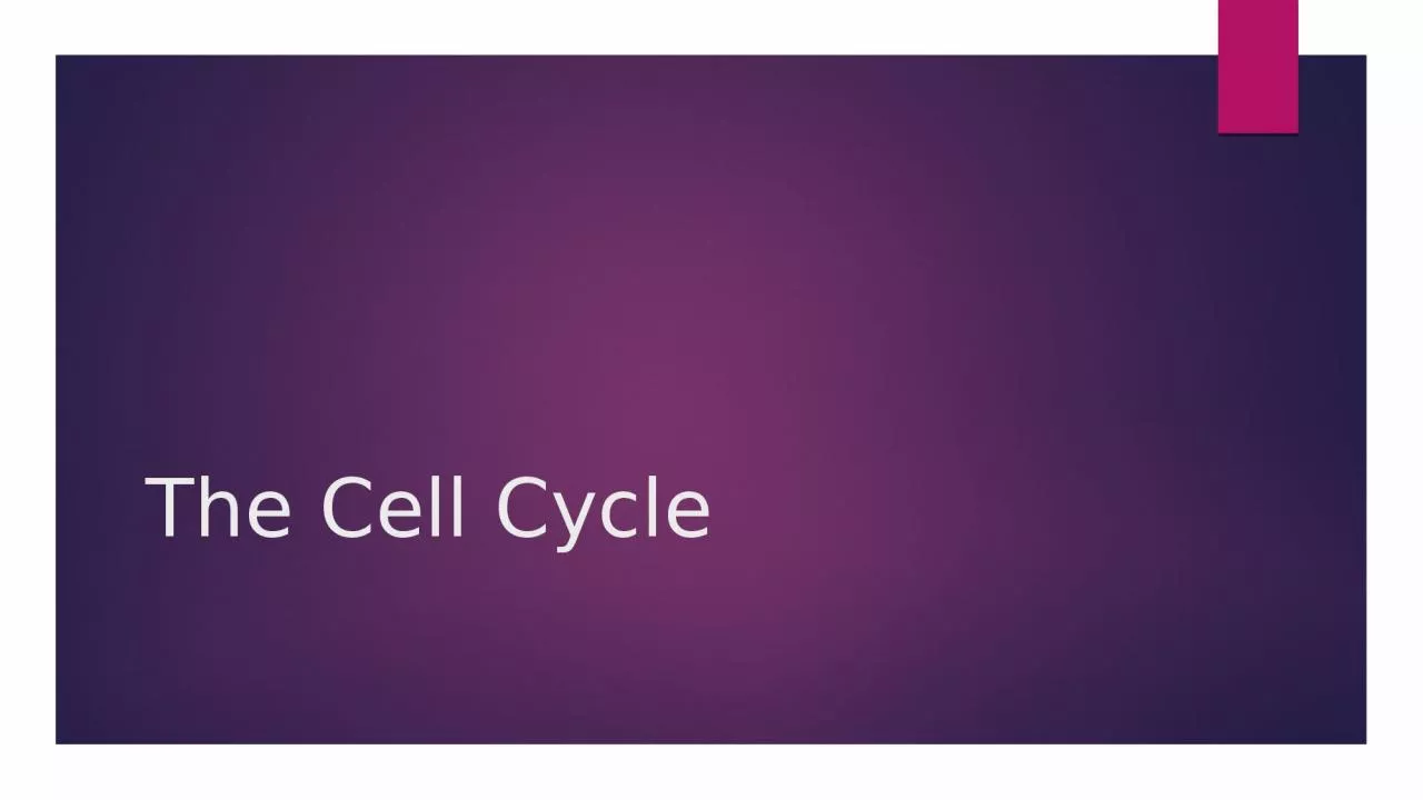 The Cell Cycle The Cell Cycle