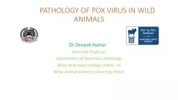 PATHOLOGY OF POX VIRUS IN WILD ANIMALS