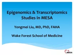 Epigenomics  &  Transcriptomics