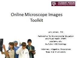 Online Microscope Images